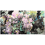 柯桐枝《花开沅陵满眼春》