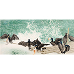 周中耀《沅江渔歌》