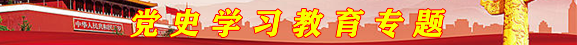 党史学习教育专题