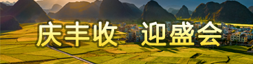 庆丰收 迎盛会
