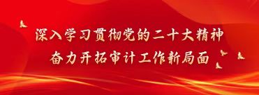 深入学习贯彻党的二十大精神 奋力开拓审计工作新局面