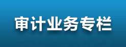 审计业务专栏