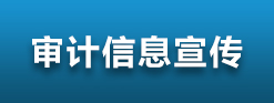 审计信息宣传