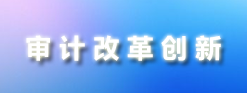 审计改革创新