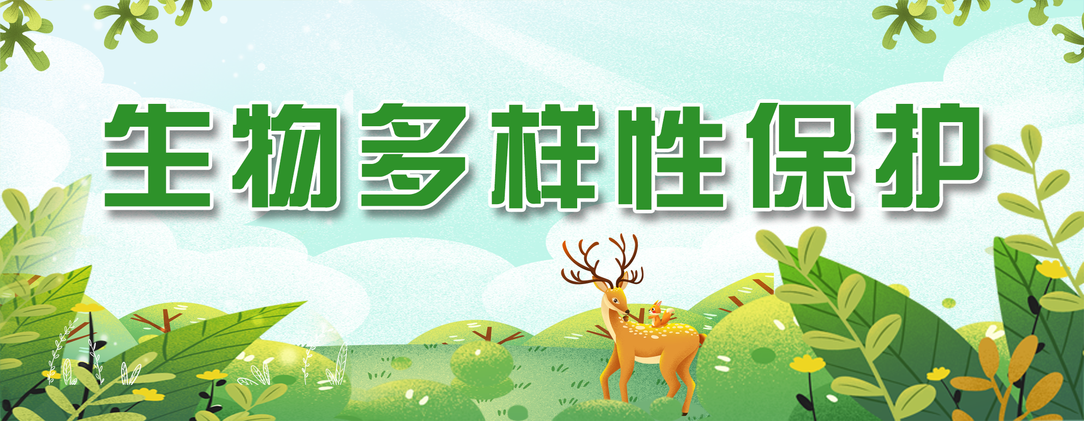 生物多样性保护