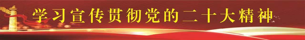 学习宣传贯彻党的二十大精神