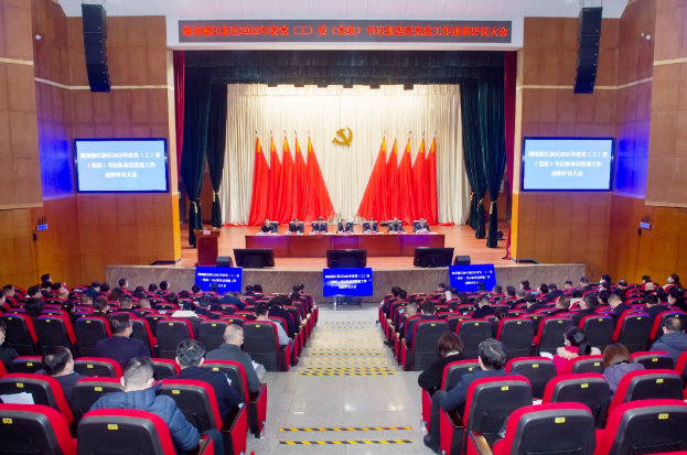 持续推动基层党建高质量发展 为全面建设社会主义现代化新区提供坚强有力组织保障