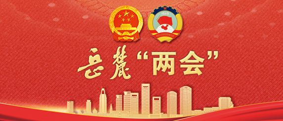 专题丨岳麓“两会”